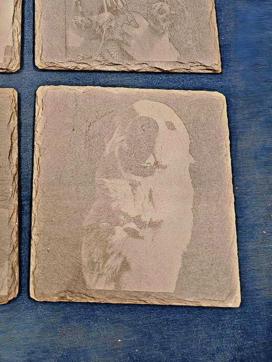 Slate Photo Coasters